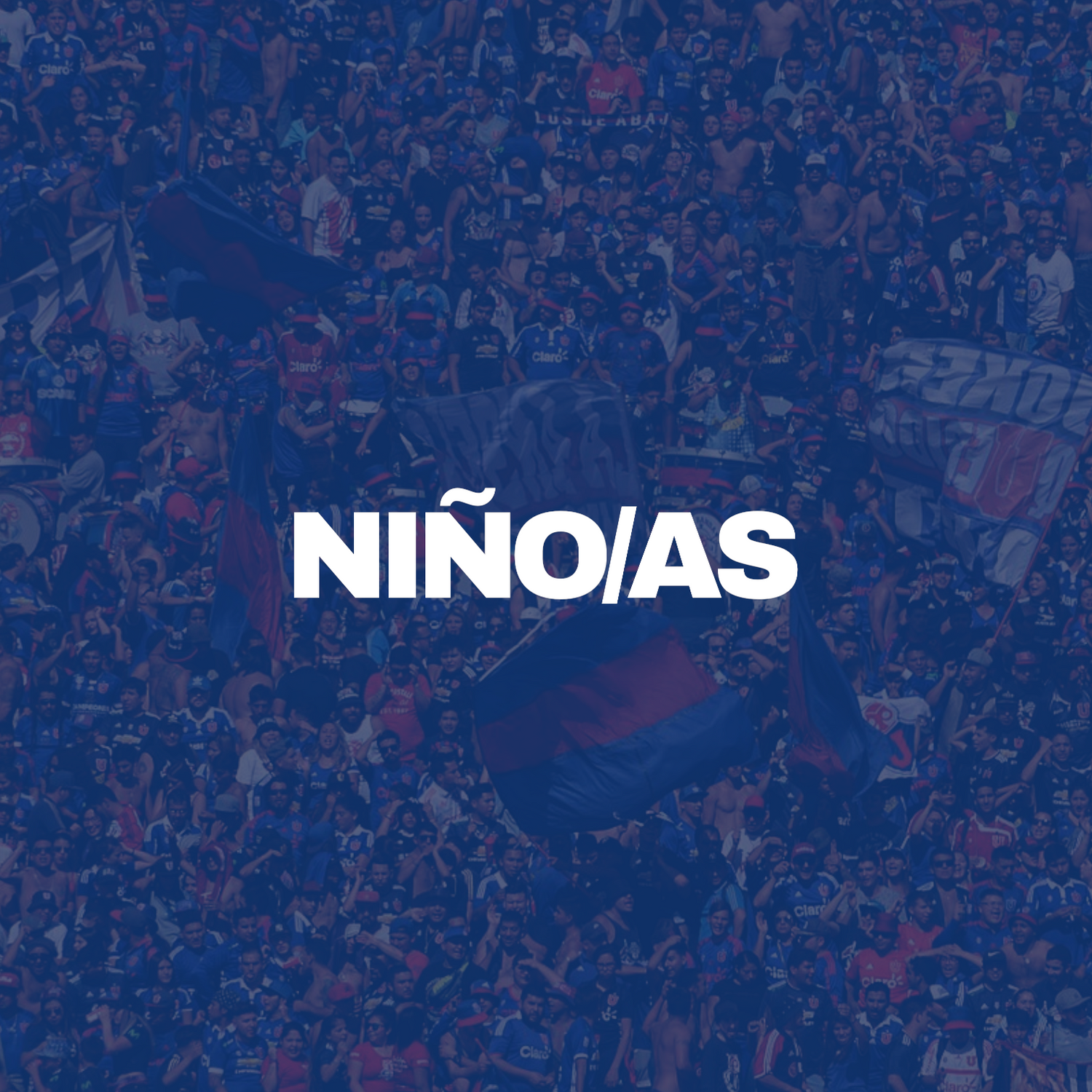 Poleras Niños/as