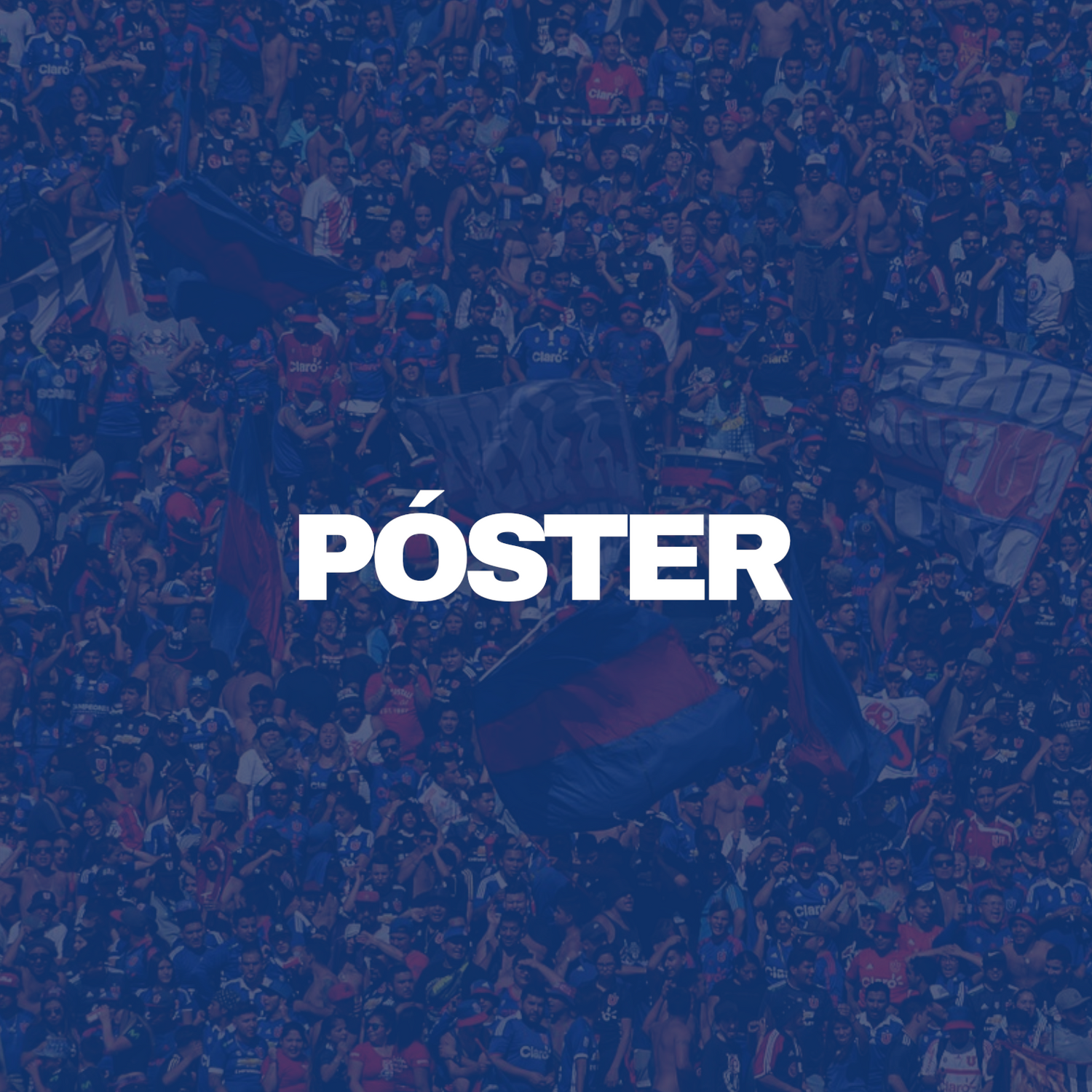 Póster U. de Chile