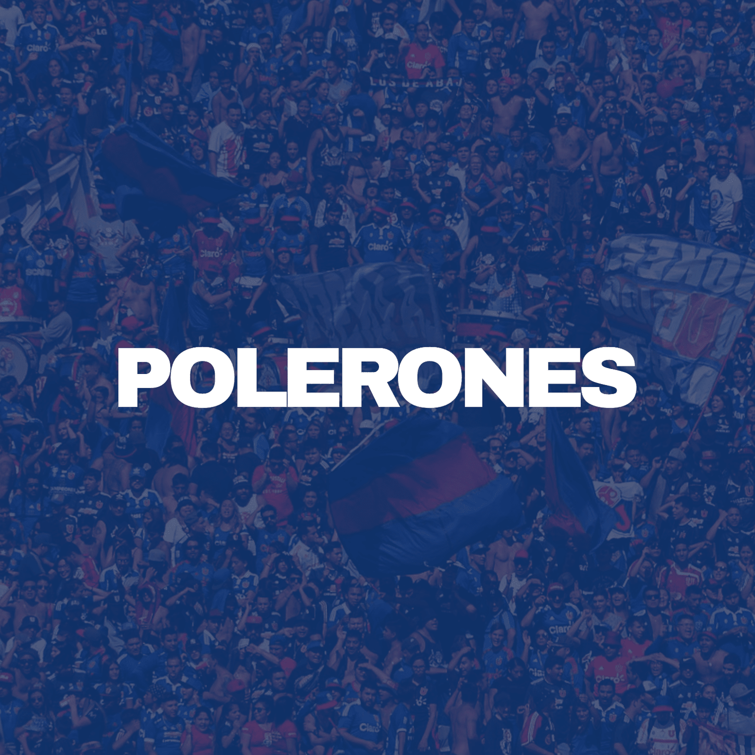 Polerones Bullangueros - Poleras de la U